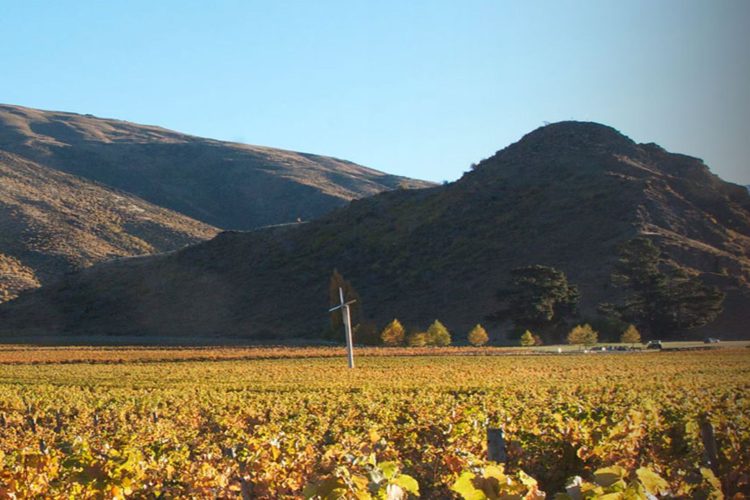 A day at Mount Rosa with Guy Bonas and LWBTV