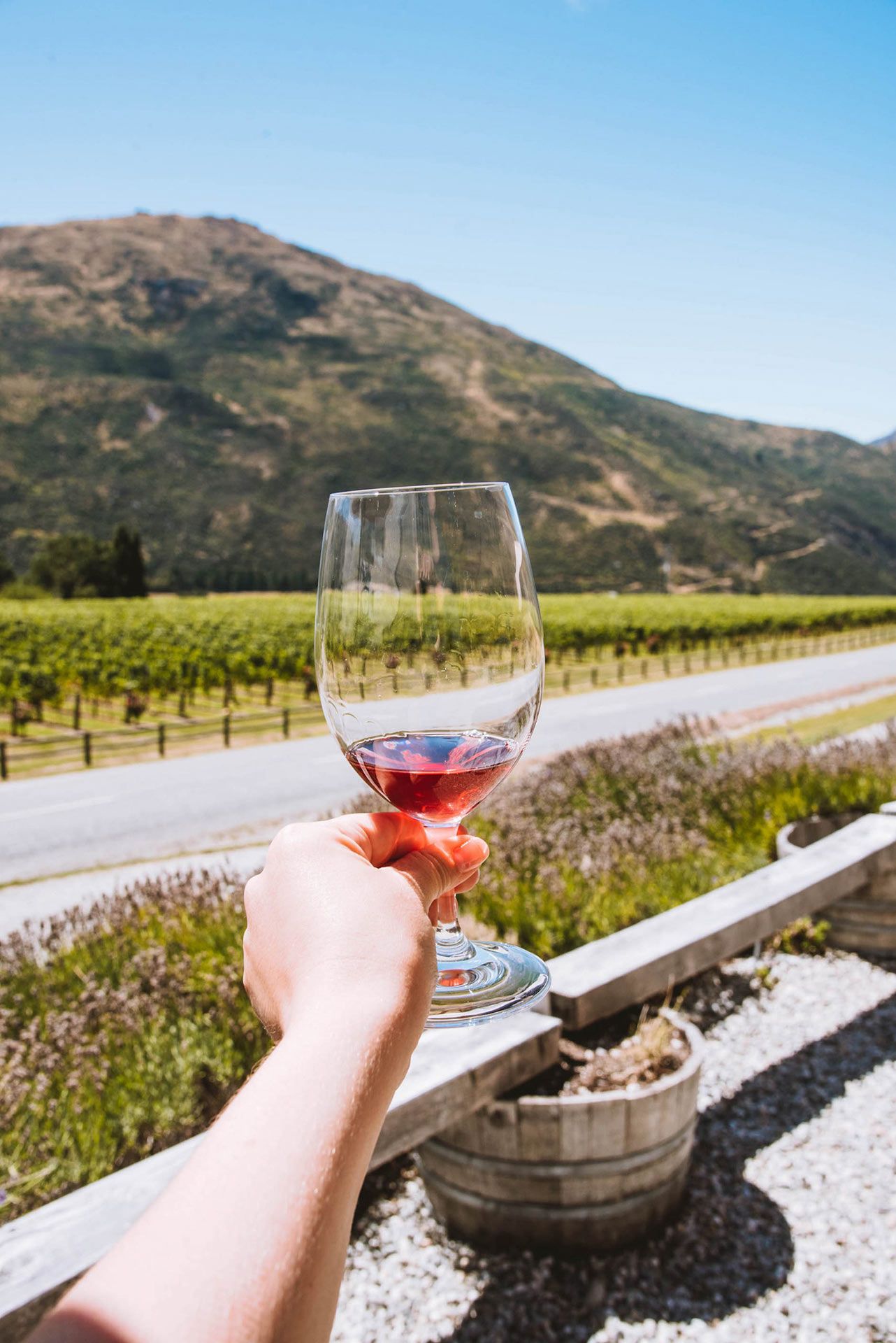 Best Wine tour in Queenstown