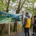 mirror lakes, milford