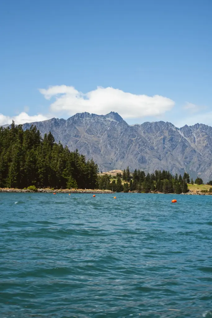 View across blue lake water toward mountains and forest near Queenstown.