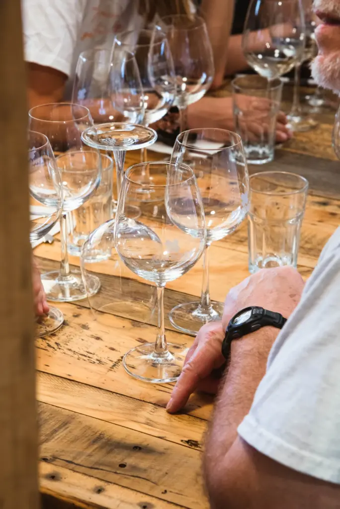 Wine glasses arranged on a wooden table during a tasting experience.