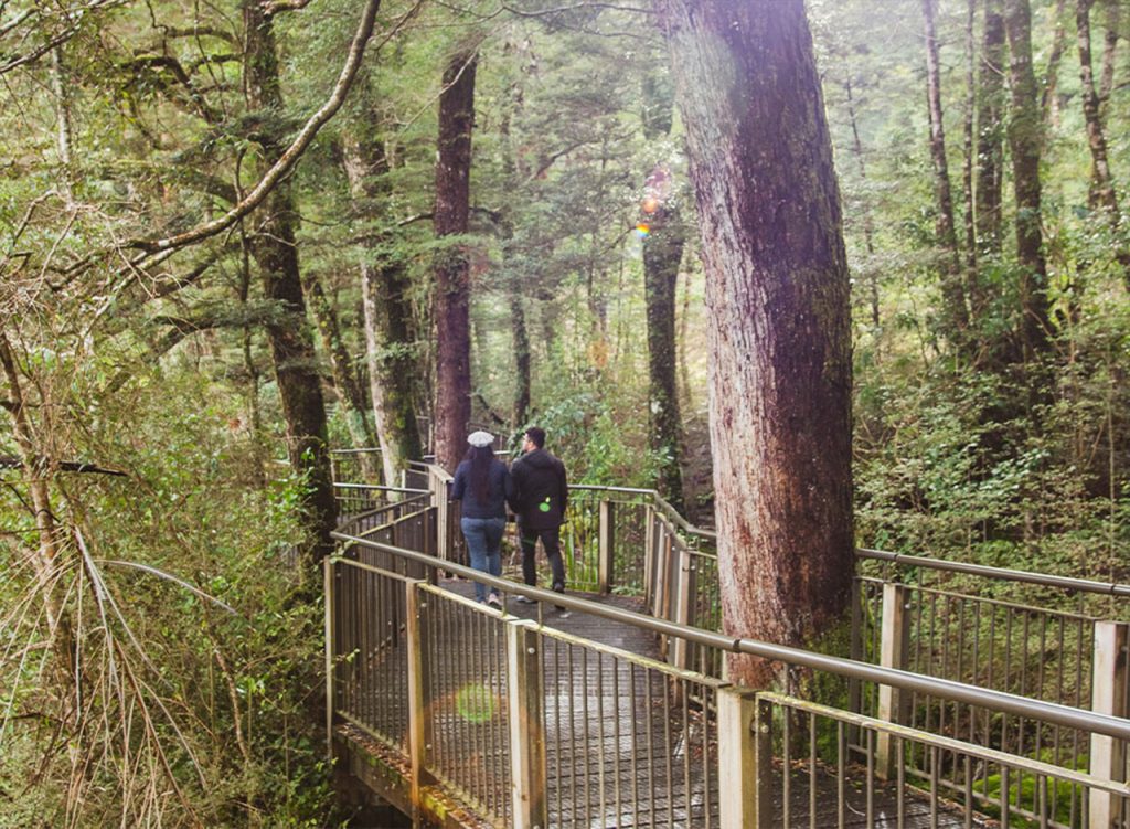 Mirror Lake nature walk
