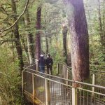 Mirror Lake nature walk